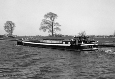 Orca 02307700 (2).jpg (175.32 Kio) Vu 8206 fois Orca 02307700 (2).jpg