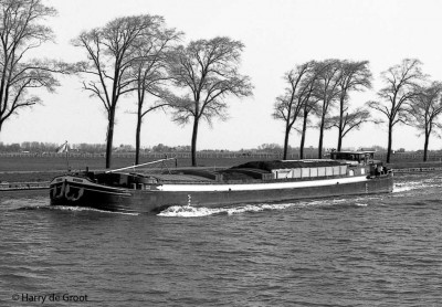 Orca 02307700 (1).jpg (143.79 Kio) Vu 8477 fois Orca 02307700 (1).jpg