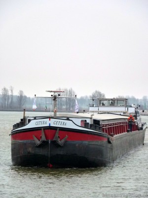 cetera212022013.jpg
