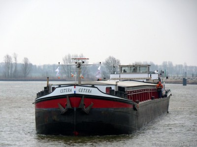 cetera112022013.jpg
