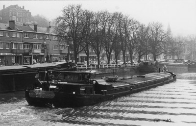 Petite Fleur 06001895 (5).jpg (166.08 Kio) Vu 2143 fois Petite Fleur 06001895 (5).jpg