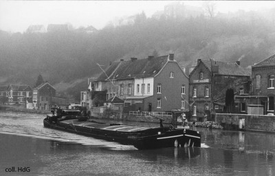 Petite Fleur 06001895 (4).jpg (105.47 Kio) Vu 2143 fois Petite Fleur 06001895 (4).jpg