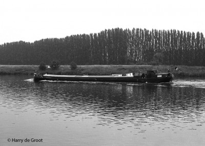 Petite Fleur 06001895 (2).jpg (189.66 Kio) Vu 2120 fois Petite Fleur 06001895 (2).jpg