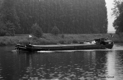 Petite Fleur 06001895 (3).jpg (138.15 Kio) Vu 2120 fois Petite Fleur 06001895 (3).jpg