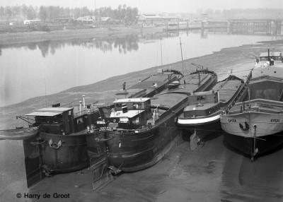 Bosco (3).jpg (208.57 Kio) Vu 822 fois Bosco (3).jpg