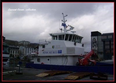 SSA42281.JPG