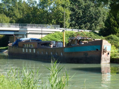 IRIS 01.JPG (195.28 Kio) Vu 7521 fois IRIS 01.JPG