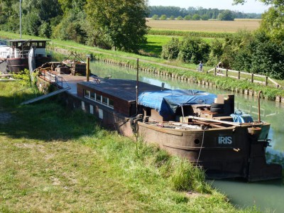 IRIS 07.JPG (208.6 Kio) Vu 7173 fois IRIS 07.JPG