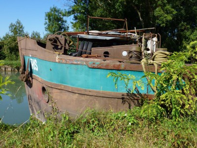 IRIS 10.JPG (208.03 Kio) Vu 7166 fois IRIS 10.JPG