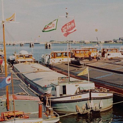 Condor 02309485 %281%29.jpg (82.62 Kio) Vu 2439 fois Condor 02309485 %281%29.jpg