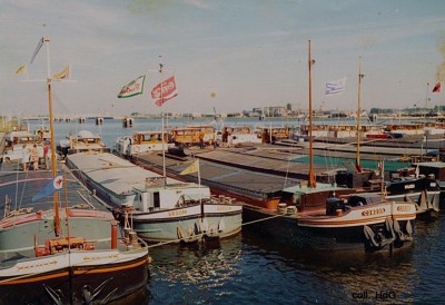 Condor 02309485 (1).jpg (175.13 Kio) Vu 2081 fois Condor 02309485 (1).jpg