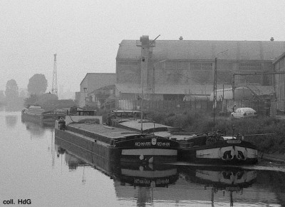 Romira 01.jpg (200.91 Kio) Vu 2722 fois Romira 01.jpg