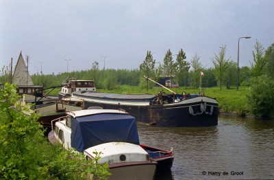 Quo Vadis  02309055 (1).jpg (206.53 Kio) Vu 1594 fois Quo Vadis  02309055 (1).jpg