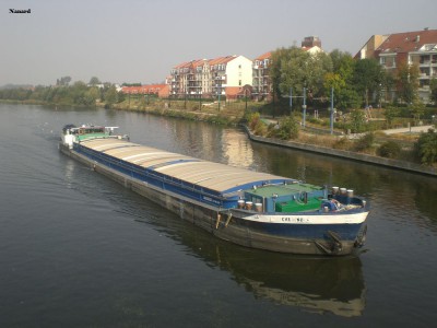 CIMG6176.JPG (133.98 Kio) Vu 2684 fois CIMG6176.JPG