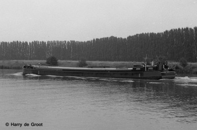 Remora (3).jpg (131.75 Kio) Vu 3584 fois Remora (3).jpg