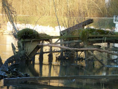 P1150593INCONNU.jpg (205.94 Kio) Vu 2005 fois P1150593INCONNU.jpg