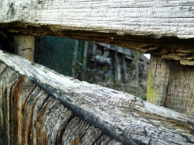 P1150601INCONNU.jpg (221.33 Kio) Vu 1999 fois P1150601INCONNU.jpg