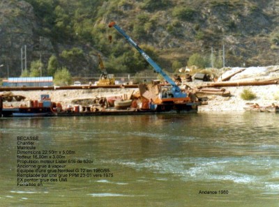 PG 06-BECASSE.jpg (141.34 Kio) Vu 924 fois PG 06-BECASSE.jpg