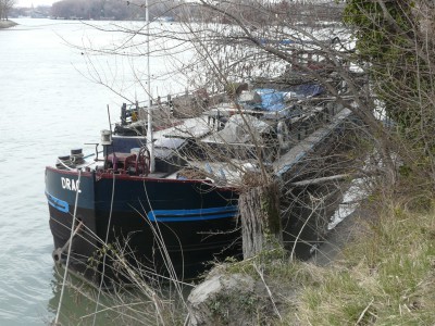 drac-av.JPG (294.47 Kio) Vu 9136 fois drac-av.JPG