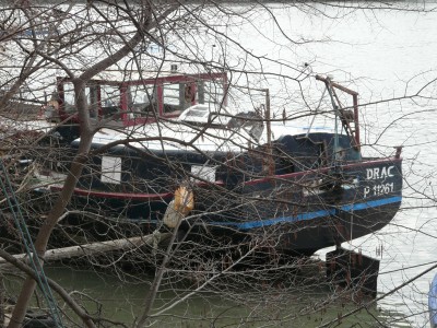 drac-ar.JPG (322.02 Kio) Vu 9136 fois drac-ar.JPG