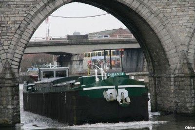 016.JPG (114.01 Kio) Vu 2590 fois 016.JPG