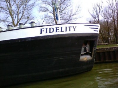 fidelity [].jpg