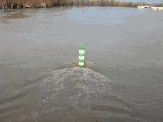 crue2.gif