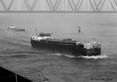 Cindy 06000547 (1).jpg (215.64 Kio) Vu 1427 fois Cindy 06000547 (1).jpg