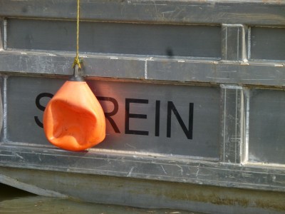 P1160092SEREIN.jpg