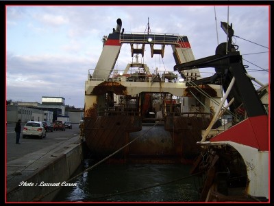 SSA42745.JPG