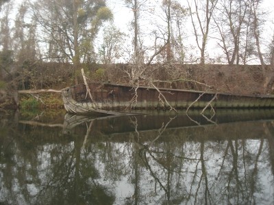 DSC01111.JPG (250.52 Kio) Vu 7149 fois DSC01111.JPG