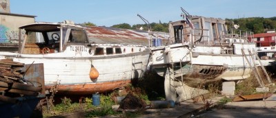 PB240283.JPG