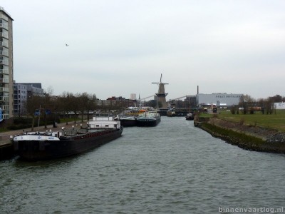 jasmijn-2-schiedam-16-03-2013.jpg (73.38 Kio) Vu 2018 fois jasmijn-2-schiedam-16-03-2013.jpg