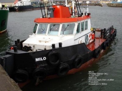 RM 04-MILO.jpg