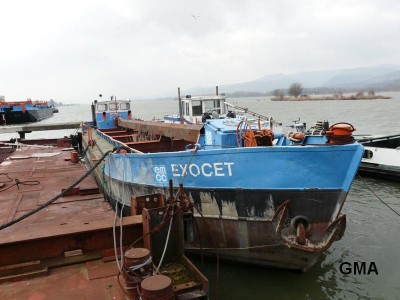 P1000949rd.JPG