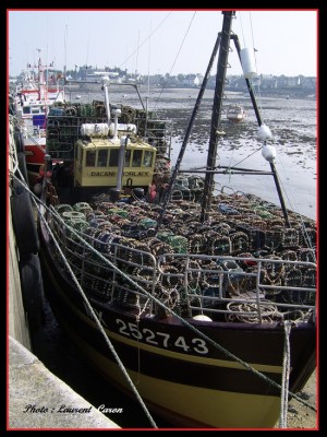 SSA42923.JPG (260.59 Kio) Vu 1902 fois SSA42923.JPG