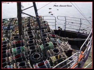 SSA42925.JPG (334.19 Kio) Vu 1902 fois SSA42925.JPG