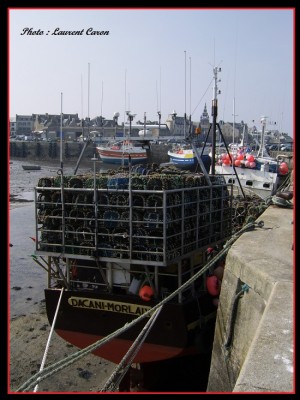 SSA42927.JPG (222.65 Kio) Vu 1902 fois SSA42927.JPG