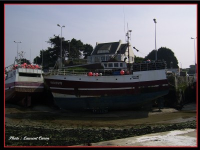 SSA42943.JPG