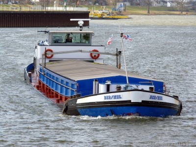 ber-mel-1-25-02-2012-06002834-626-ton-56-lang-6.68-breed.jpg