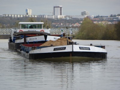 P1010309MECHTA.jpg