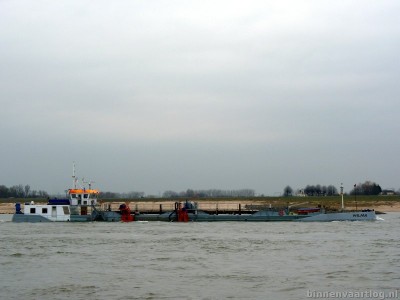 a4-wilma-2-19-03-2010.jpg