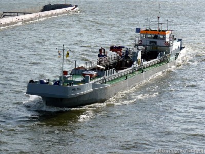 a8-wilma-2-31-03-2010.jpg