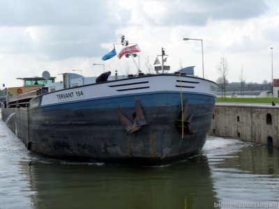 tervant154619042013.jpg