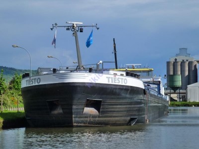 tiesto (2).JPG (66.16 Kio) Vu 2576 fois tiesto (2).JPG