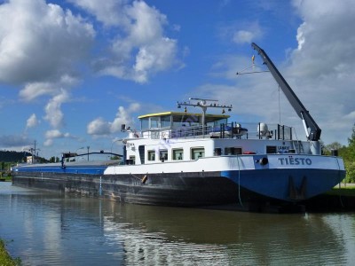 tiesto (5).JPG (78.38 Kio) Vu 2576 fois tiesto (5).JPG