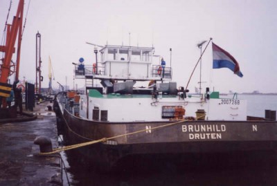 brunhild6lg.jpg
