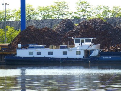 REGENBOOG (3).JPG (116.7 Kio) Vu 1097 fois REGENBOOG (3).JPG