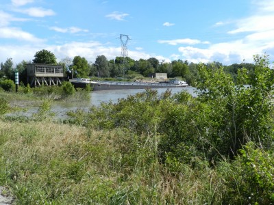 octopussy.JPG (349.49 Kio) Vu 4723 fois octopussy.JPG