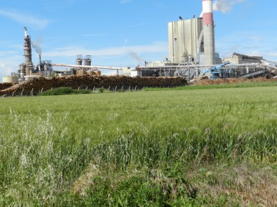 octopussy0.JPG (300.37 Kio) Vu 4723 fois octopussy0.JPG